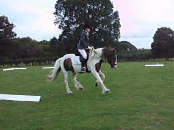 Lance canter (2)