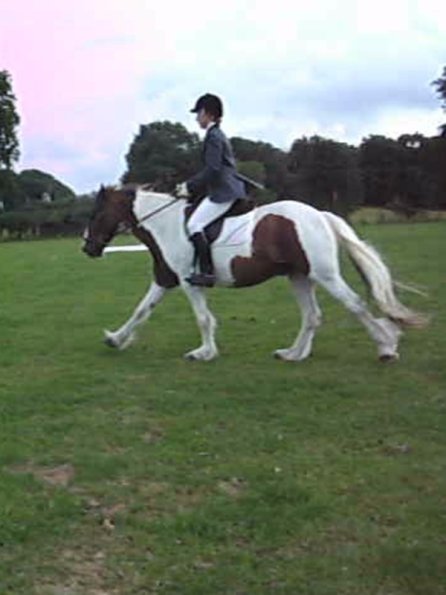 Lance canter (5)