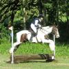 Wivelsden Hunter Trials