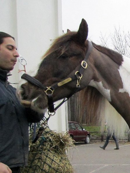 Achilleas and Lance (3)