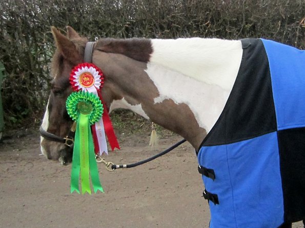 Sir Lancelot rug (2)