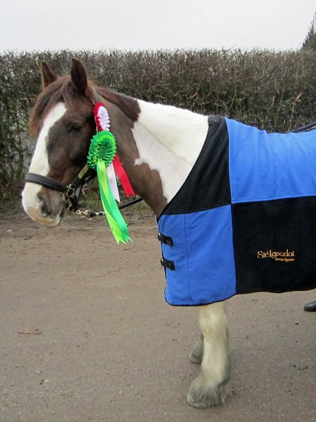 Sir Lancelot rug (3)