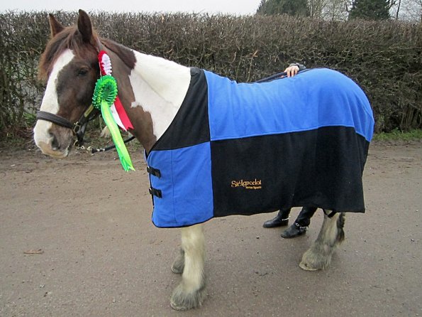 Sir Lancelot rug (4)