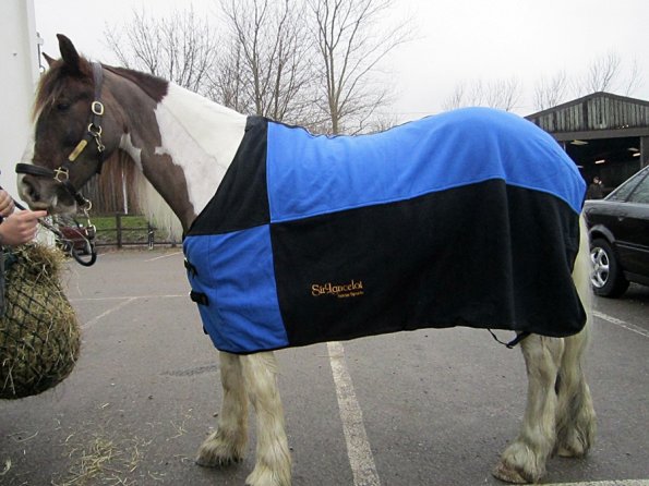 Sir Lancelot rug (5)