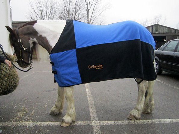 Sir Lancelot rug (6)