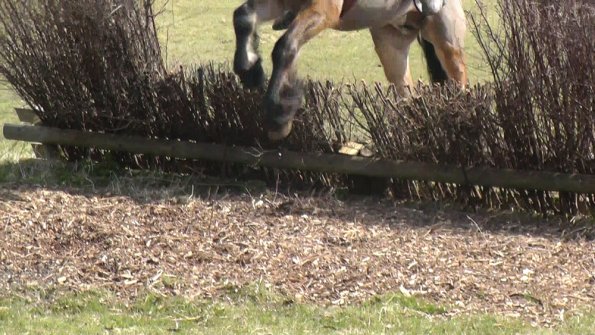 Shame about the photographer